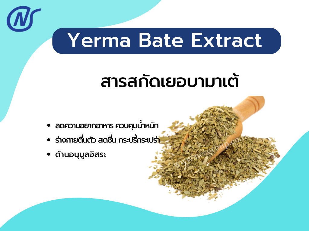 Yerba Mate Extra